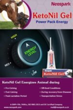 KetoNil Gel ORAL GEL TO ENERGIZE THE ANIMALS - Image 6