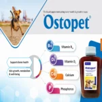 OSTOPET