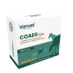 Coaeg Bolus – A Powerful Natural Blood Coagulant & Hemostatic Agent - Image 2