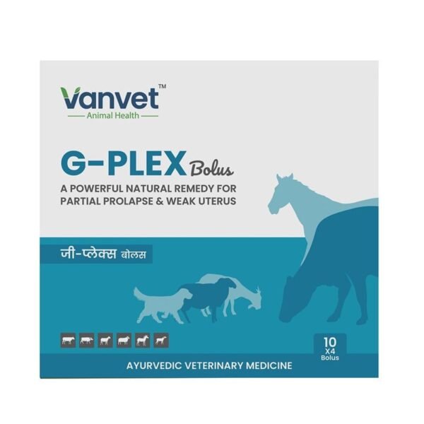 G-Plex Bolus – A Powerful Natural Remedy For Partial Prolapse & Weak Uterus