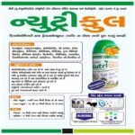 NUTRICOOL Liquid - Image 4