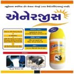 ENERGIES LIQUID - Image 4