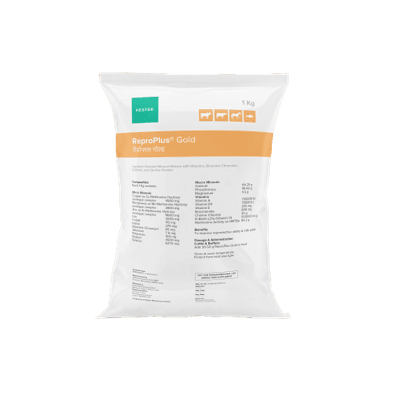 163235818 3705826246212665 6990838768641492151 n removebg preview 1