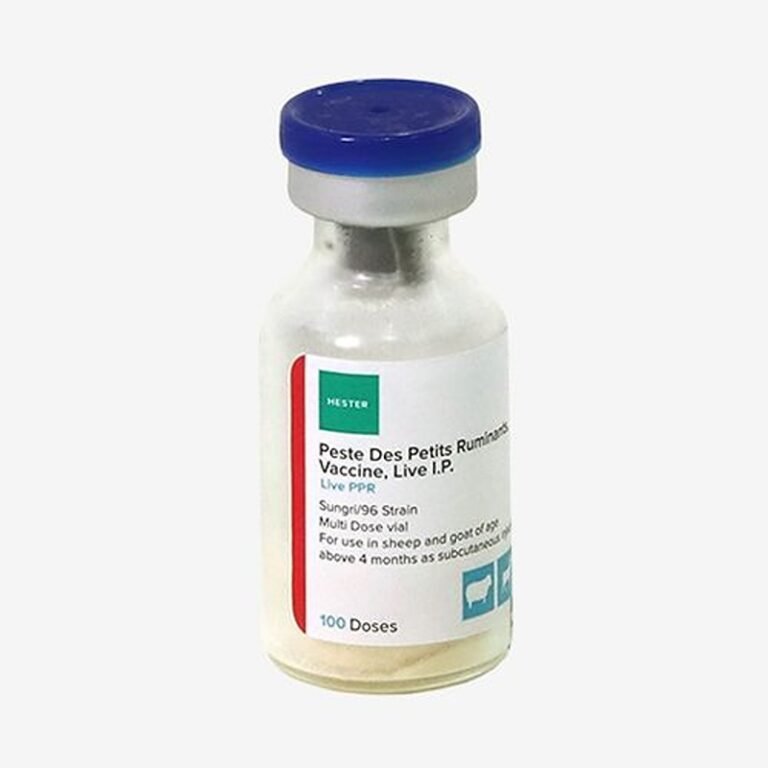 62b698cbf1e18e1d4745685d Live PPR 100 Doses p 500