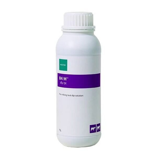 62b7b44420faef5f4a85989e B4M p 500 1