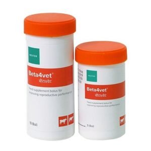 62b7b45d5539fa4fe80e24d2 Beta4vet p 500