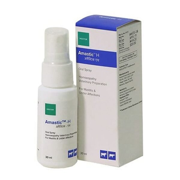 62b7b57c302e9a0bbd4c6f90 Amastic H p 500