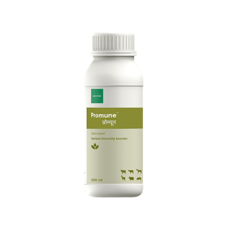 62de7948e673e5cea735553b Promune 500 ml p 500