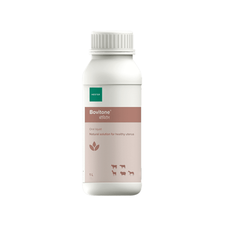 62de7cf5cacc086f7bef1222 Bovitone 1 L p 500