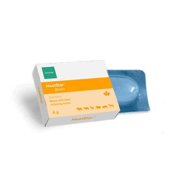 62de7d8fde0a8b0c1b6348d1 Heatstar Box mockup2 p 500