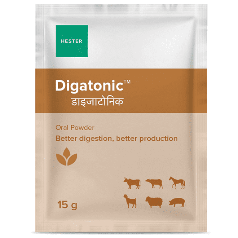 62de7e928d700c1e3ccdb873 Digatonic Pouch 15 gMockup 2 p 500