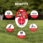 Drools Spike Hard Ball Chew Toy, Puppy/Dog Teething Toy - 3 inches - Image 2