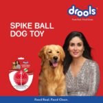 Drools Spike Hard Ball Chew Toy, Puppy/Dog Teething Toy - 3 inches - Image 3