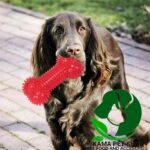 Squeaky Plush Dog Toy, Soft Non-Toxic Sounding Teeth Cleaning Protection Chewing Bones - Shaped Toys for Pet - Image 4