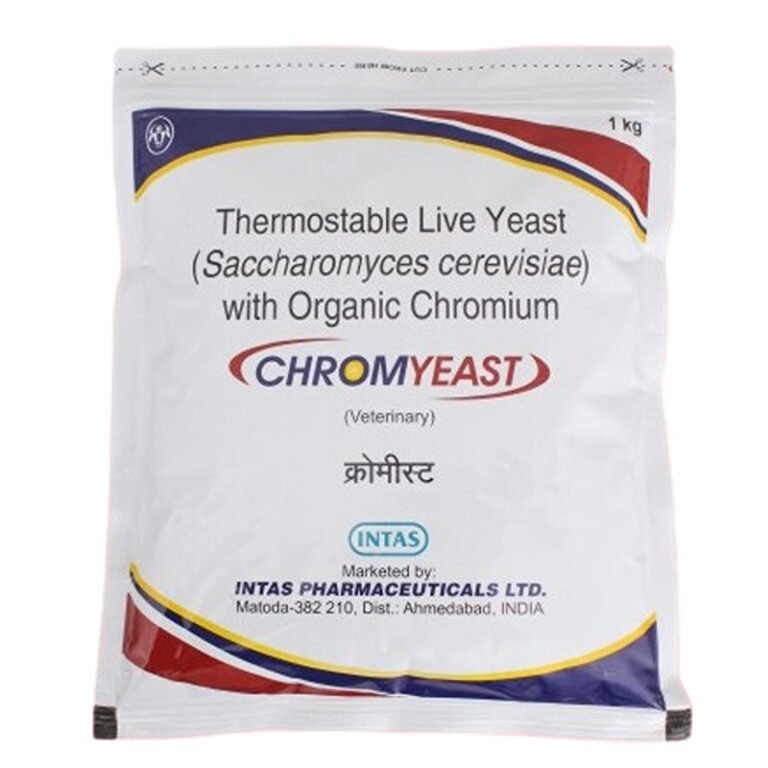 Chromyeast 1 removebg preview