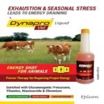 Dynapro Vet - Image 6