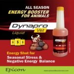 Dynapro Vet - Image 5