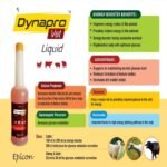 Dynapro Vet - Image 4