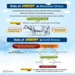 Dynapro Vet - Image 3