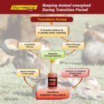 Dynapro Vet - Image 2