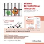 Cefticon  Injection - Image 3