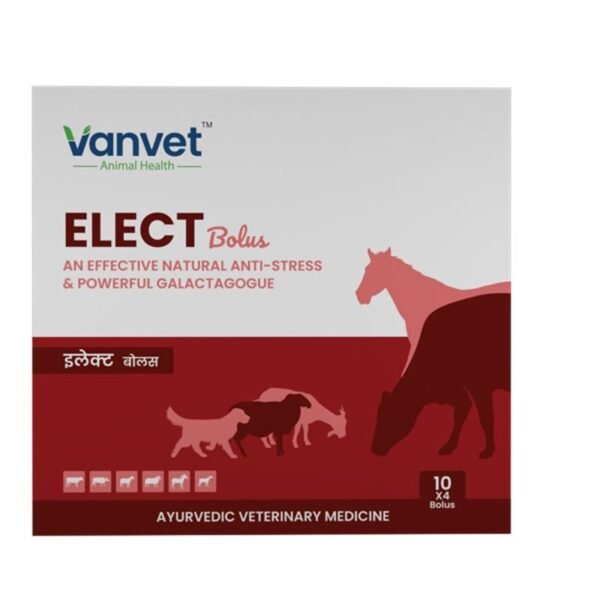 Elect bolur Front 600x600 1