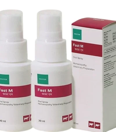Fast-M SPRAY
