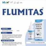 FLUMITAS POUR ON - Image 3