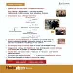 Histaphen Bolus - Image 3