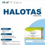 Halotas Bolus