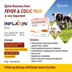 Inflaxin Bolus - Image 5