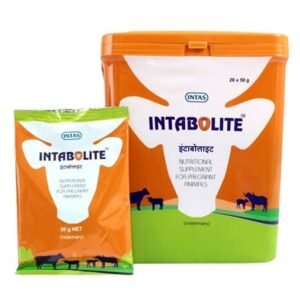IntaBolite 1 removebg preview
