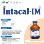INTACAL IM INJECTION - Image 3