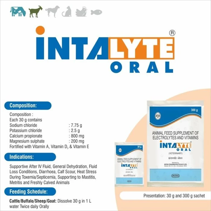 Intalyte Oral