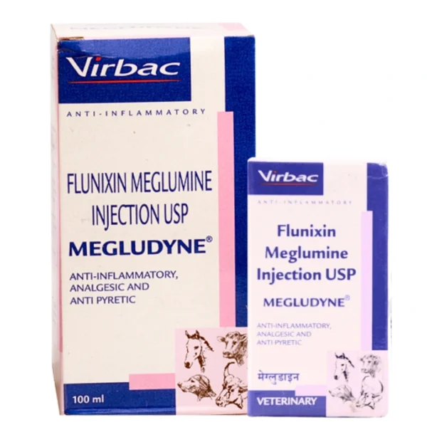 MEGLUDYNE