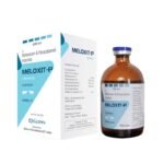 Meloxit P Injection
