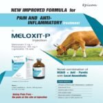 Meloxit P Injection - Image 3