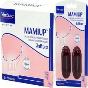 MAMIUP