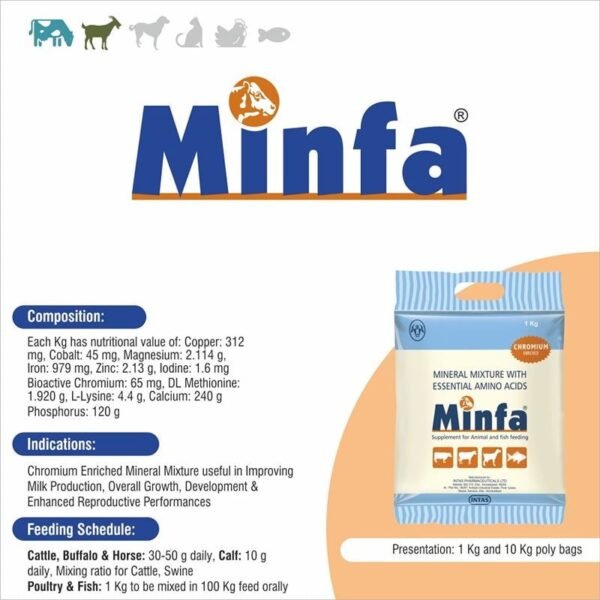 Minfa