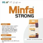 Minfa Strong