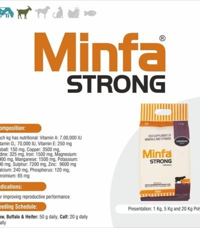 Minfa Strong