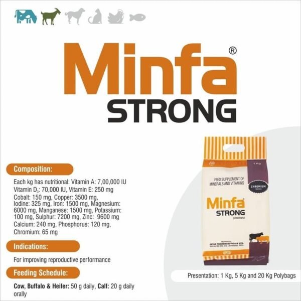 Minfa Strong