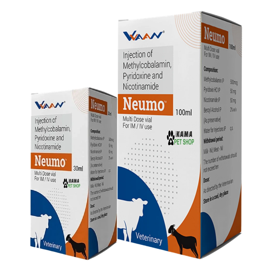 NEUMO