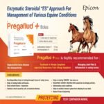 Pregaflud Plus Bolus - Image 2