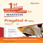Pregaflud Plus Bolus - Image 4