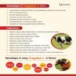 Pregaflud Plus Bolus - Image 7