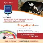 Pregaflud Plus Bolus - Image 9