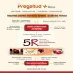 Pregaflud Plus Bolus - Image 10