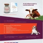 Pregaflud Injection - Image 2