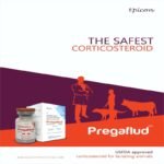 Pregaflud Injection - Image 3